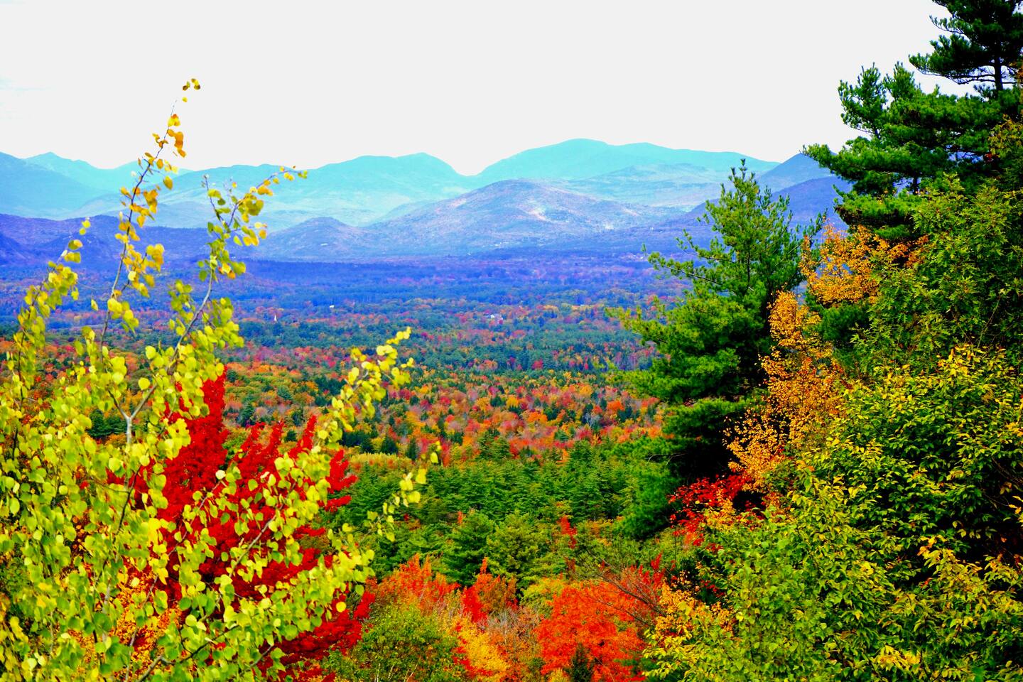 Autumn colors around Stonewood